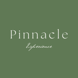 Commercial Design Pinnacle Experience (Mid-Tier)