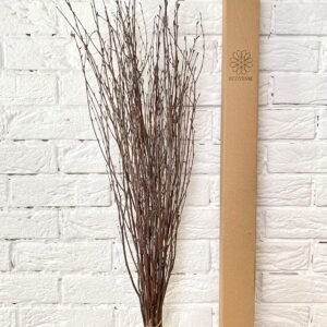 25 psc - Branches - 73 cm, Natural Birch Twigs, Pack of 20-25 Stems