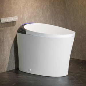 CANEST®️ Smart Toilet
